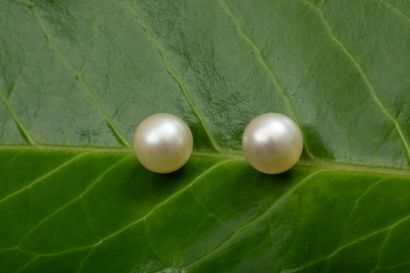 Pair of stud earrings in 750-thousandths...