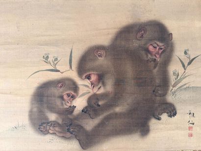 Mori Sosen (Japon, 1747-1821)
Encre et couleurs...