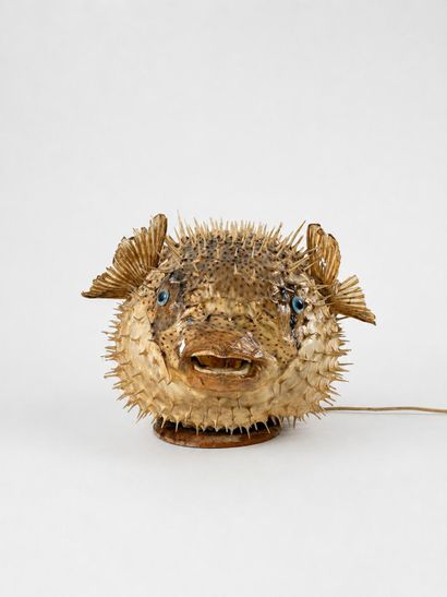Diodon dit poisson lune monte en lampe
Travail...