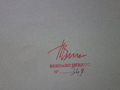 Bernard HERZOG (1935-)
Cartographie d’un...