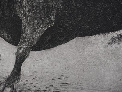 Enrique MARIN MUÑOZ (1935–2020)
The Bull...