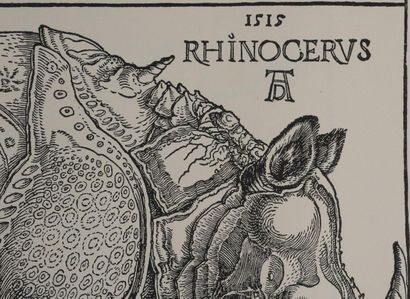Albrecht DURER (1471–1528) 
The Rhinoceros,...
