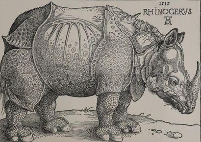 Albrecht DURER (1471–1528) 
The Rhinoceros,...