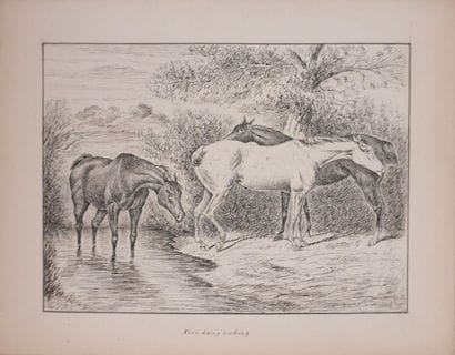 Finch MASON (1850–1915)

Three Horses (Nice...