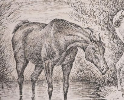 Finch MASON (1850–1915)

Three Horses (Nice...