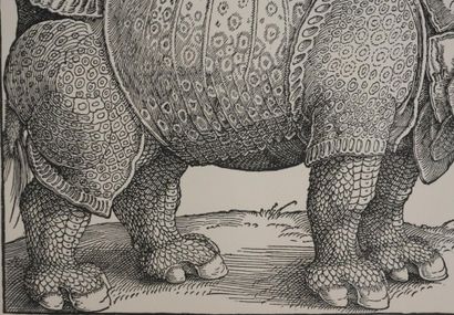 Albrecht DURER (1471–1528) 
The Rhinoceros,...