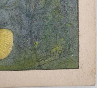 Fernand ANGEL (1881-1950)
Planche d'ichtyologie...