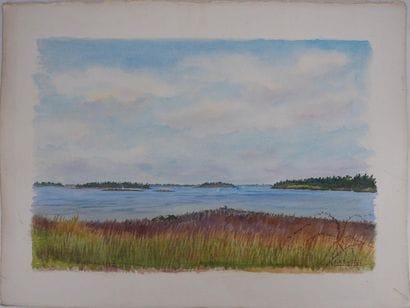 Salomon Alfred BOISECQ (1901-2005)
Îlot du...