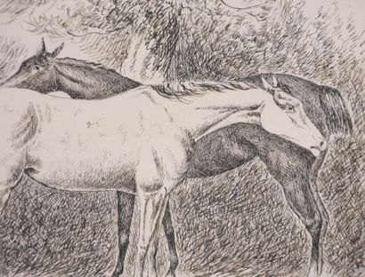 Finch MASON (1850–1915)

Three Horses (Nice...