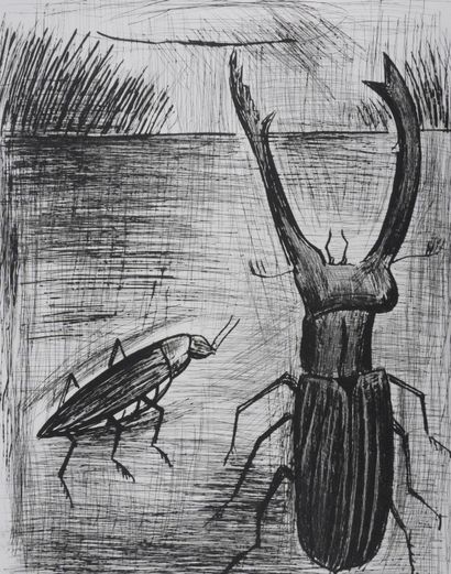Bernard BUFFET (1928-1999)
Lucane et scarabée
Gravure...