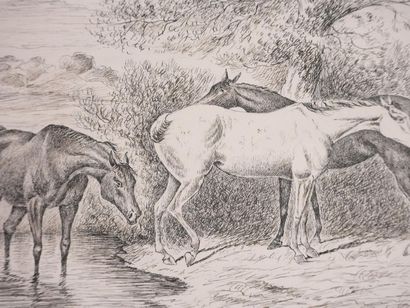 Finch MASON (1850–1915)

Three Horses (Nice...