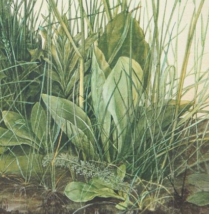Albrecht DURER (1471–1528) 
The Tuft of Grass...