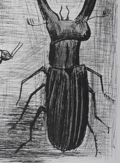 Bernard BUFFET (1928-1999)
Lucane et scarabée
Gravure...