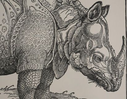 Albrecht DURER (1471–1528) 
The Rhinoceros,...
