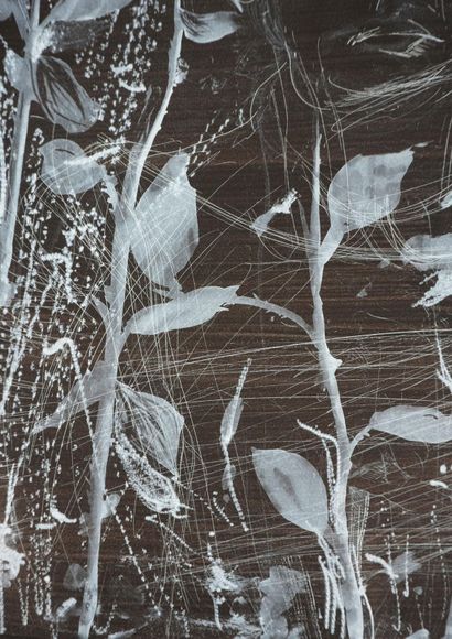 Jim DINE (1935)
Nancy Outside in July XIX...