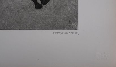 Enrique MARIN MUÑOZ (1935–2020)
The Bull...
