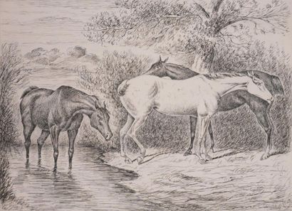 Finch MASON (1850–1915)

Three Horses (Nice...