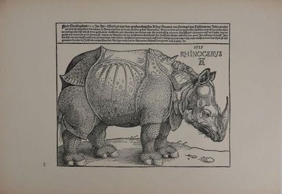Albrecht DURER (1471–1528) 
The Rhinoceros,...