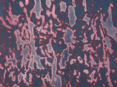 Mark TOBEY (1890-1976)
Désert nocturne, 1974
Gravure...