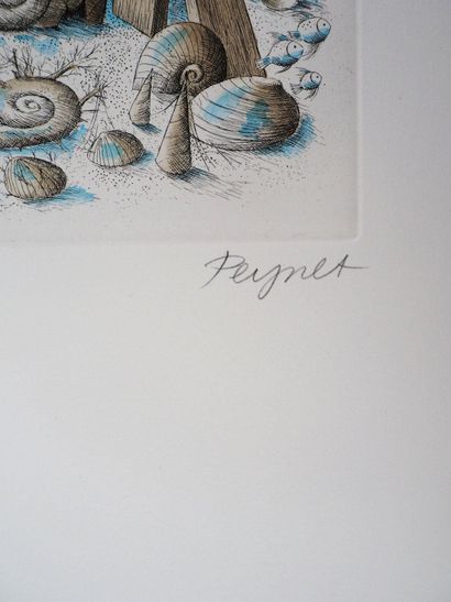Raymond PEYNET (1908-1999)
Astrologie : Zodiaque,...