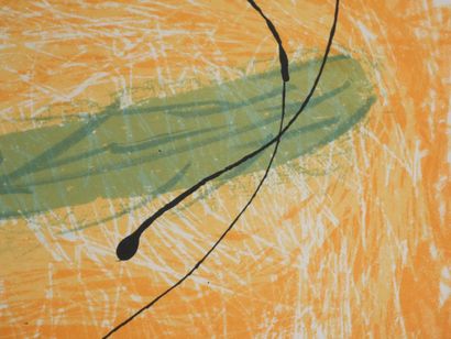 Joan MIRO (1893-1983)
Le lézard aux plumes,...