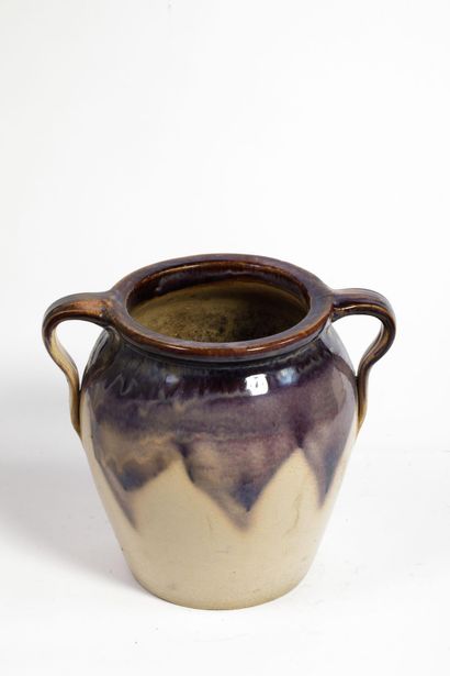 Vase à deux anses pouvant former cache-pot...