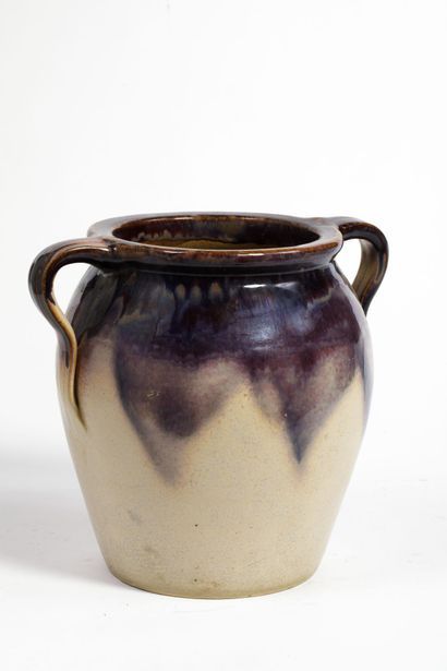 Vase à deux anses pouvant former cache-pot...