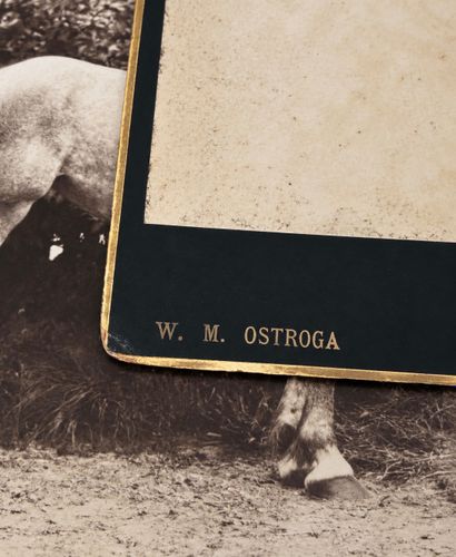 Valérien OSTROGA (real name Walery Karłowicz...