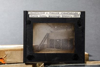 Photograph, circa 1930–50. A collection of...