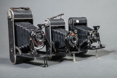 A set of four assorted bellows cameras, including...