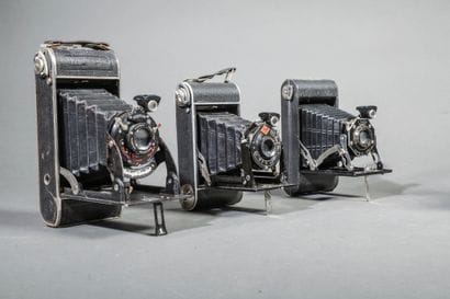 A set of four assorted bellows cameras, including...