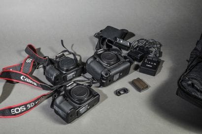 In a specialized bag, a set of three untested...