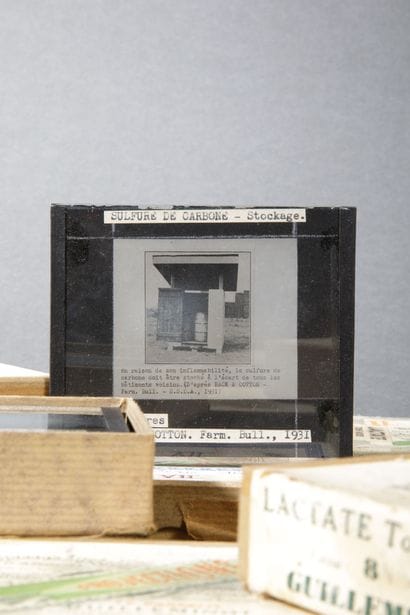 Photograph, circa 1930–50. A collection of...