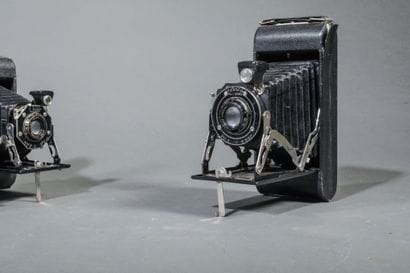 A set of four assorted bellows cameras, including...