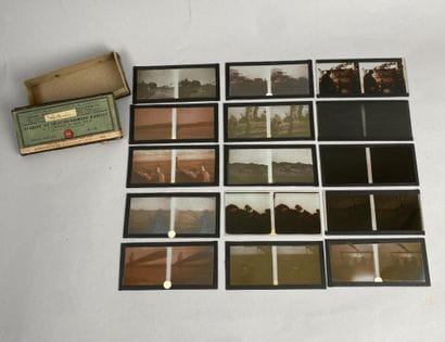 Gelatin-silver bromide plates featuring La...