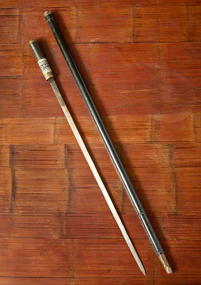 Canne épée indo-britanique (Inde)
Canne épée...