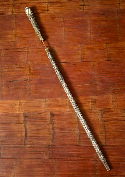 Canne épée orientalisante
Cannée épée en...