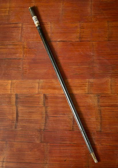 Canne épée indo-britanique (Inde)
Canne épée...
