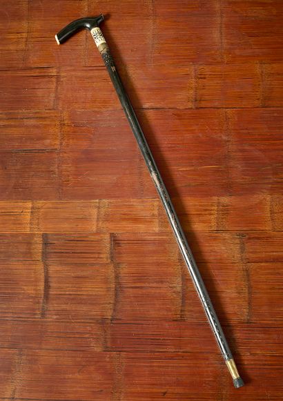 Canne épée Derby
Canne épée à pommeau 