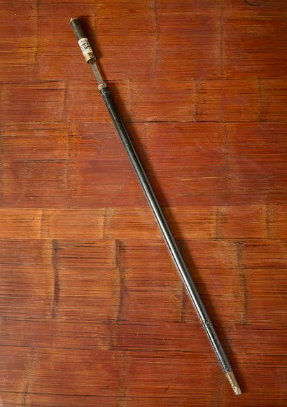 Canne épée indo-britanique (Inde)
Canne épée...