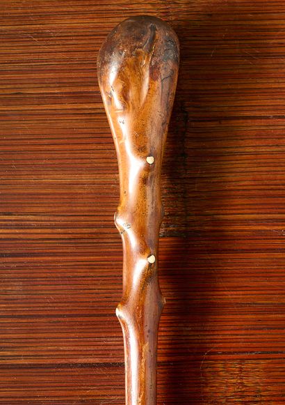 Oceania - FIDJI ISLAND - Puzzle
Rare 