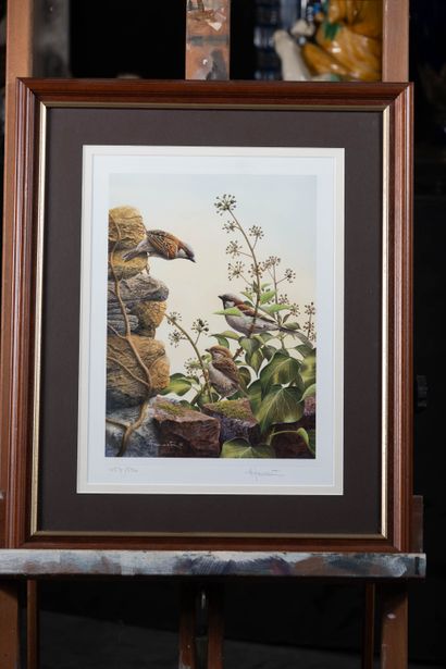 André BUZIN (1946)
Sparrows. Lithograph....
