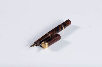 GOLD STARRY
SAFETY GOLD STARRY 256 gold-ringed...