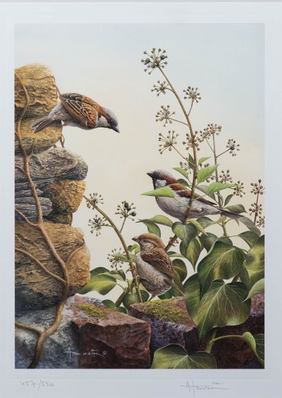 André BUZIN (1946)
Sparrows. Lithograph....