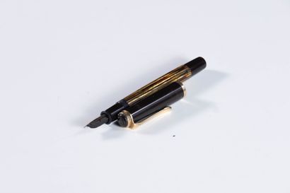 PELIKAN
PELIKAN 400 tortoise fountain pen....
