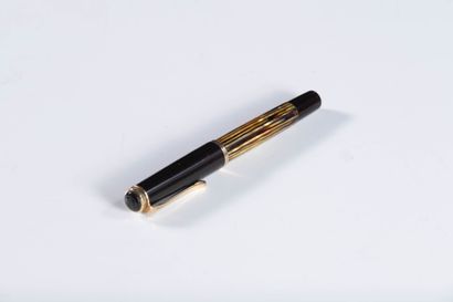 PELIKAN
PELIKAN 400 tortoise fountain pen....
