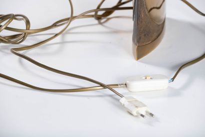 Esa FEDRIGOLLI (1950)
Wing-shaped table lamp...