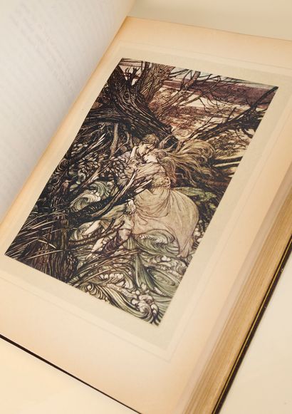 Livre - Undine par le Baron de la Motte fouqué,...