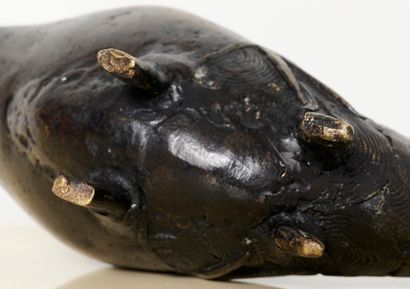 Ethnie Bobo, Burkina Faso
Poisson 