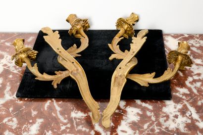 Style Louis XV - Luminaire
Paire d'appliques...